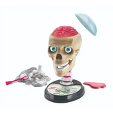 Clementoni Science&Play Crazy Anatomy Lab